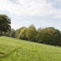 IMG_1296116