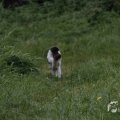 IMG_1296507