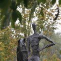 IMG_1296577