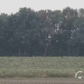 IMG_1296596