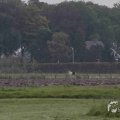 IMG_1296626