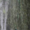 IMG_1296632