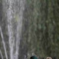 IMG_1296634