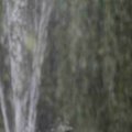 IMG_1296638