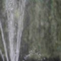 IMG_1296640