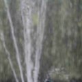IMG_1296643