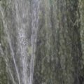 IMG_1296645