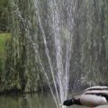 IMG_1296647