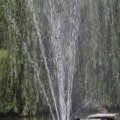 IMG_1296648