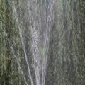 IMG_1296650