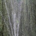 IMG_1296651