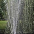 IMG_1296652
