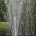IMG_1296653