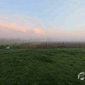 IMG_1294624