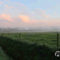 IMG_1294630