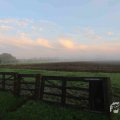 IMG_1294636