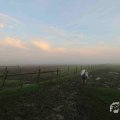 IMG_1294638
