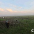 IMG_1294640