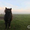 IMG_1294642