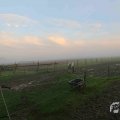 IMG_1294647