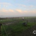 IMG_1294648