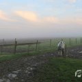 IMG_1294649