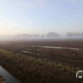 IMG_1294651