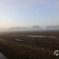 IMG_1294653