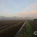 IMG_1294656