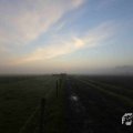 IMG_1294667