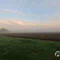 IMG_1294668