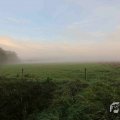 IMG_1294683