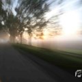 IMG_1294690