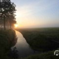 IMG_1294699