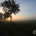 IMG_1294703