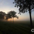 IMG_1294705