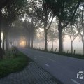IMG_1294708