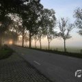 IMG_1294716