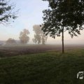 IMG_1294727