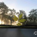 IMG_1294729