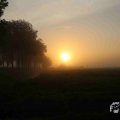 IMG_1294736