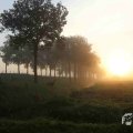 IMG_1294738