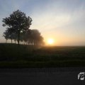 IMG_1294742