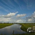 IMG_1296935