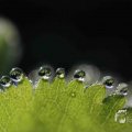 IMG_1296936