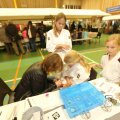 IMG_1297233