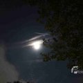 IMG_1297461