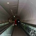 IMG_1302634