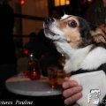 IMG_1302712