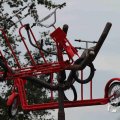 IMG_1305786